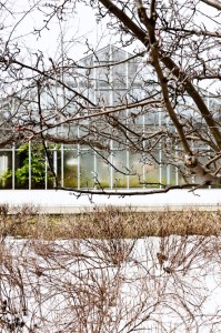 greenhouse_winter